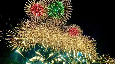 夜空を埋める光の競演
