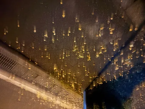 夜の天井に散る金の雫