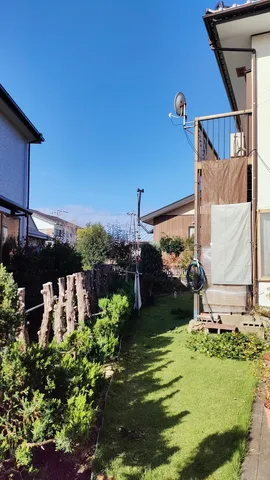 青空と庭のコントラスト