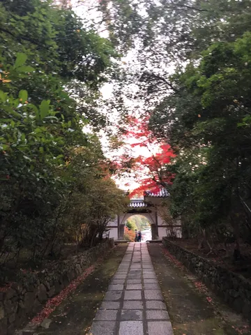 紅葉トンネルの先へ