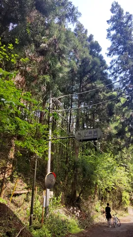 深緑の峠道にて