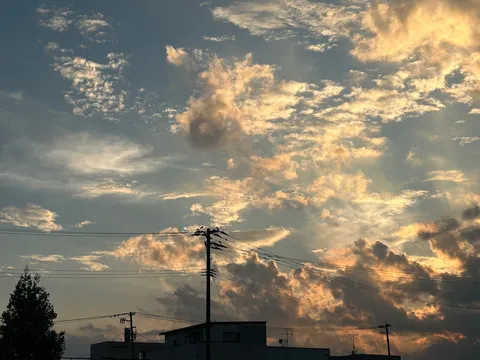 空を彩る電気の影