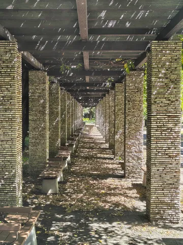 木陰のリズムが刻む通路