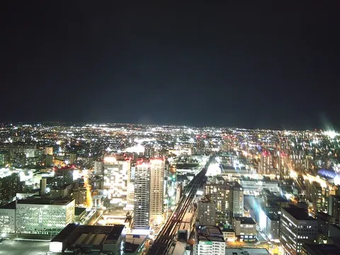 夜景に溶け込む光の絨毯