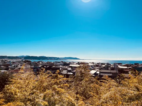 葉っぱ越しに発見！隠れ家オーシャンビュー