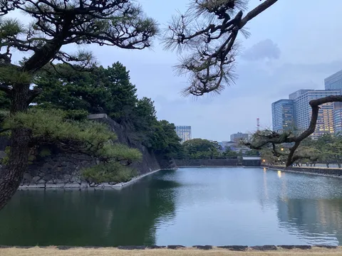 都会のオアシス、石垣と水面