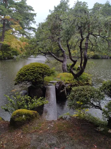 静かな水辺の風景