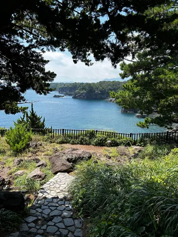 木陰から覗く穏やかな海