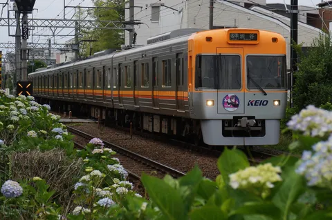 緑と電車、水色のコントラスト