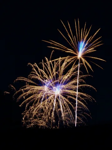 夜空に咲く黄金と青の花火