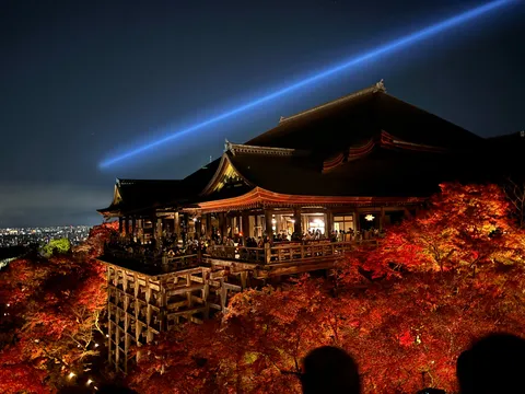 紅葉と宙を結ぶ光の寺