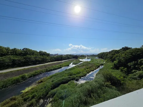 太陽と緑のコントラスト、穏やかな川の流れ