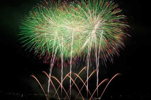 緑と光が織りなす夜空の祝祭