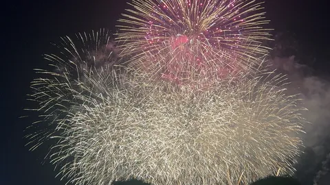 夜空を彩る光の芸術