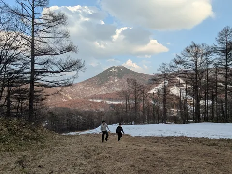 晩秋の山道、二人で歩む