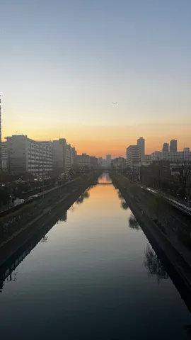 静寂に映る、茜色の街並み