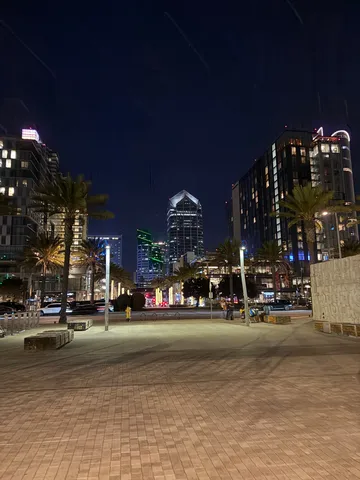 都会の夜景とヤシの木、光のシンフォニー