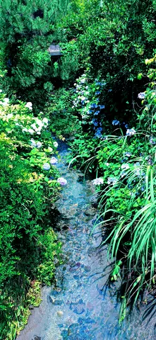 水辺を彩る紫陽花と豊かな緑