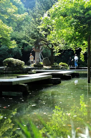 水辺の光と影の庭
