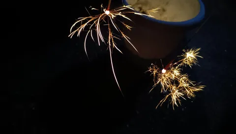 夜空に舞う光の華