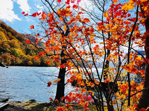 湖畔を彩る燃えるような紅葉
