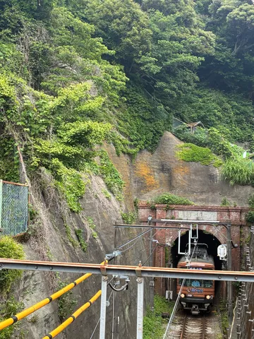 トンネルから現れる緑の生命力