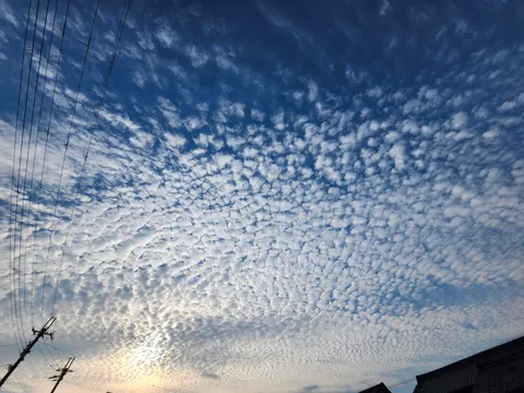 筋雲と電線、どこかで見た空