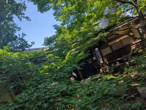 緑に包まれた静かな庵
