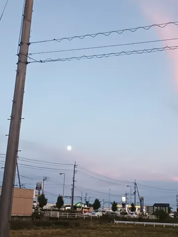 夕暮れ時の電線と月
