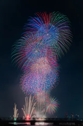 夜空を彩る大輪の花