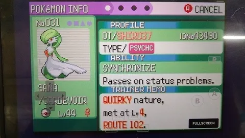 懐かしのポケモンの世界！