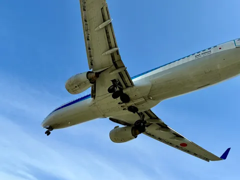 空から見下ろす巨大な翼