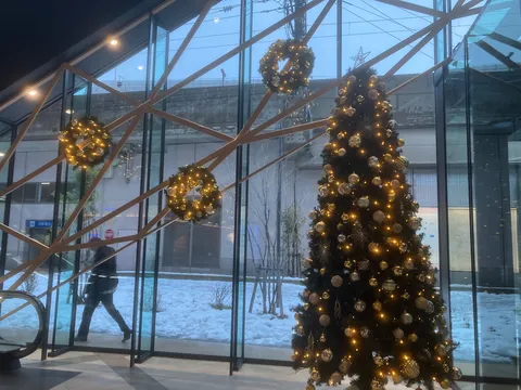 冬の訪れ、キラキラのクリスマスツリー
