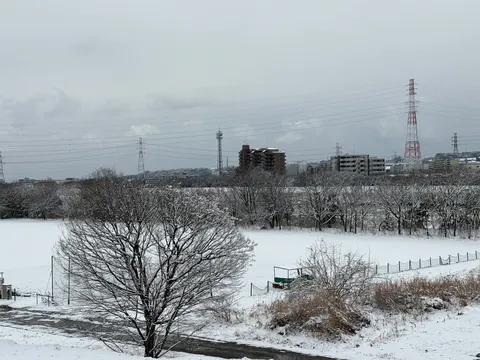 冬色、電波塔と街並み