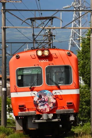 ヘッドマークが目を引くローカル列車