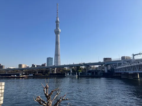 青空とタワー、川面に映る街並み