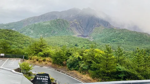 山頂からの緑と灰色のコントラスト