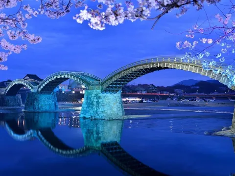 桜彩る夜の錦帯橋