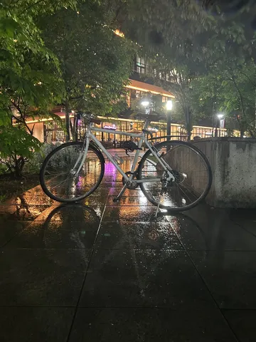 雨上がりの静かな夜、自転車の佇まい