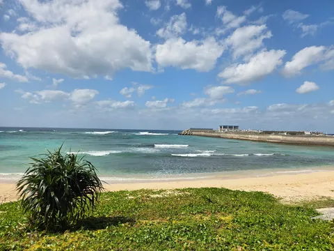 海風に揺れる記憶の岸