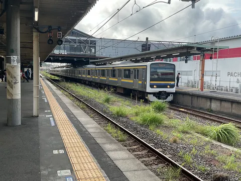 線路の隙間に咲く風景