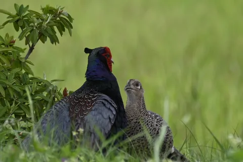 頼りになる相棒と、ちょっと不安げな新米？