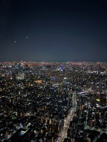 眠らない街の灯、宇宙からの眺め