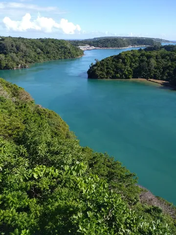 青と緑の静かな水路