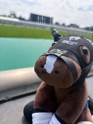 競馬場の小さな応援団
