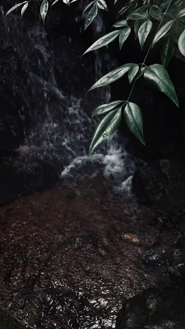 渓流に映える深緑の葉と水の流れ