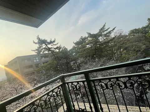陽光きらめく春の情景