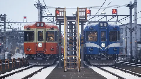 雪化粧のホーム、二色の列車