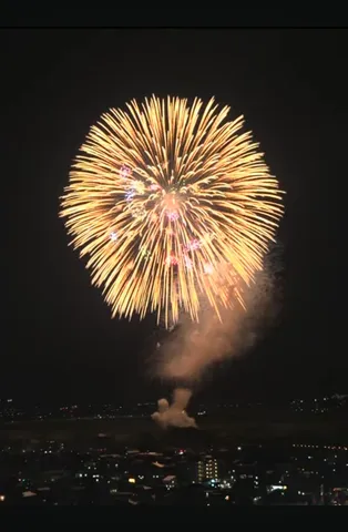 夜空に咲いた大輪の花火