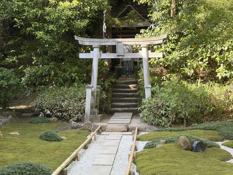 苔庭と石段、神秘的な奥へ